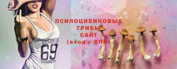 хмурый Волосово