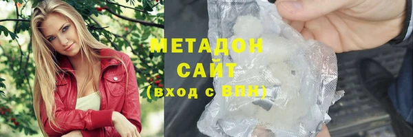 индика Волоколамск
