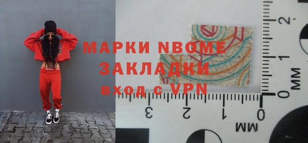 индика Волоколамск