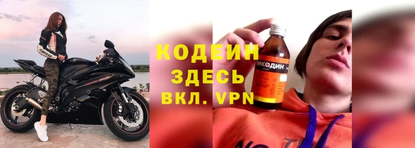 индика Волоколамск