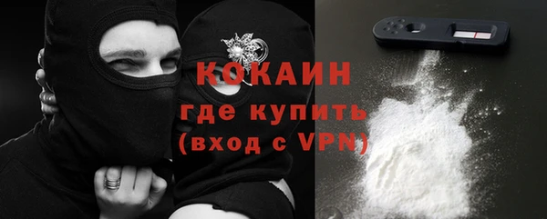 индика Волоколамск