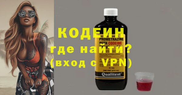 индика Волоколамск