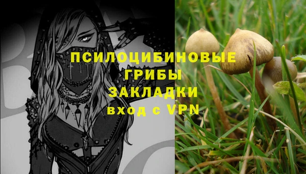 скорость Володарск