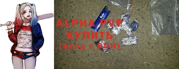 индика Волоколамск