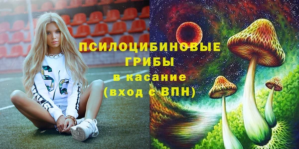 хмурый Волосово